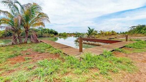 Un pontile in legno sopra una distesa d'acqua, circondato da vegetazione e palme.