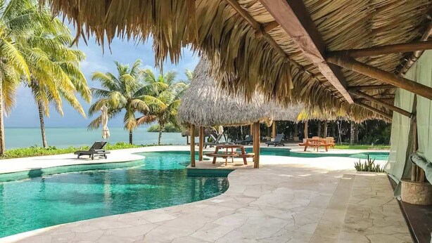 Un área de piscina con sillas de descanso, una estructura con techo de paja y palmeras.