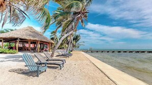 Una playa con sillas de playa, una cabaña con techo de paja, palmeras y un muelle que se adentra en el agua.