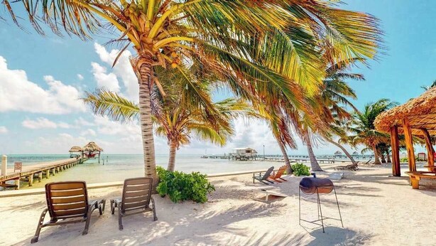 Una playa con palmeras, una terraza de madera y sillas de playa.