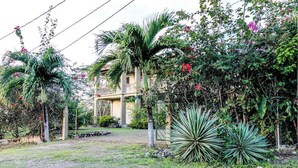 Een woonhuis met tuin, een palmboom en een huis met balkon.