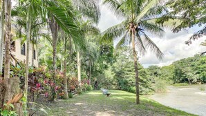 A tropical garden with palm trees, a river, and a building with a balcony. - Deluxe Studio with Riverfront Location, WiFi, AC, & Pool (San Ignacio)