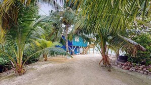 A pathway leading to a blue building surrounded by palm trees.