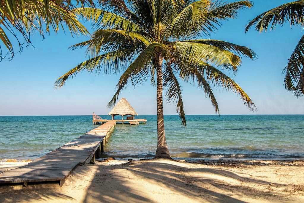 A beach with a wooden pier leading to a thatched-roof hut.