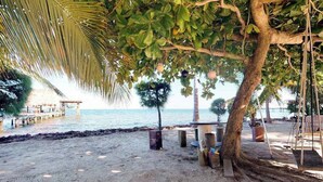 A beach with a swing set, a wooden structure, and a palm tree.