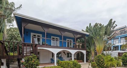 Beachfront home with dock, deck, hammocks, strong WiFi, AC & sea view