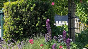 Un jardín con diversas plantas y flores, una valla de madera y un muro de piedra al fondo.