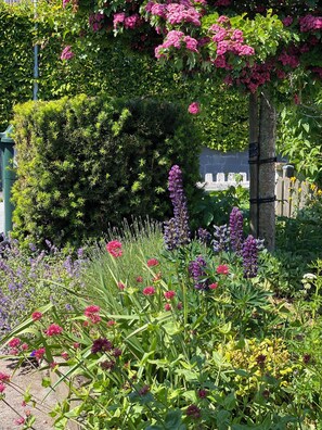 Property grounds - Charming house in central Ystad with a lush garden (ystad)