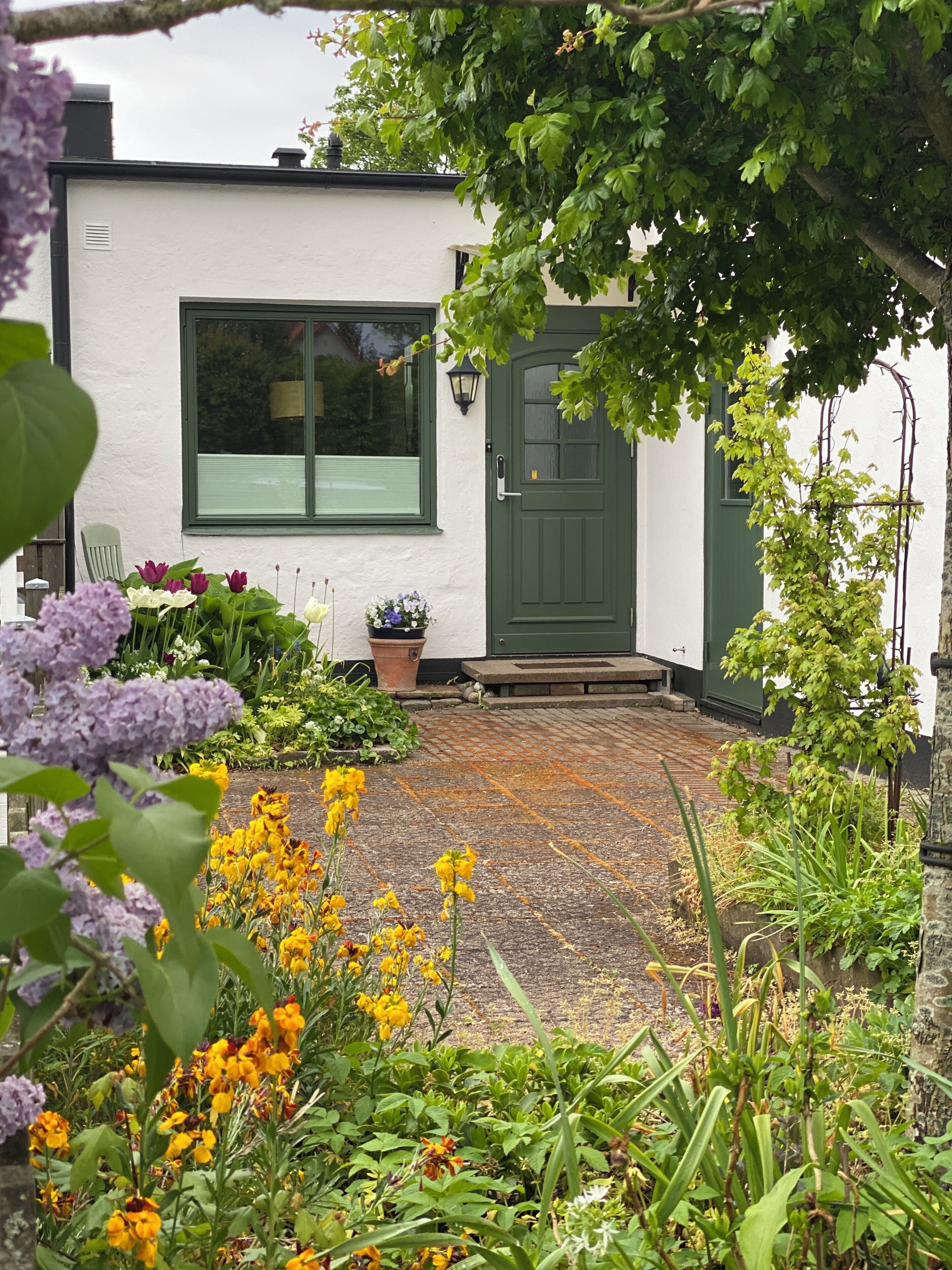 A white building with a green door and window, surrounded by a garden with various plants and flowers.