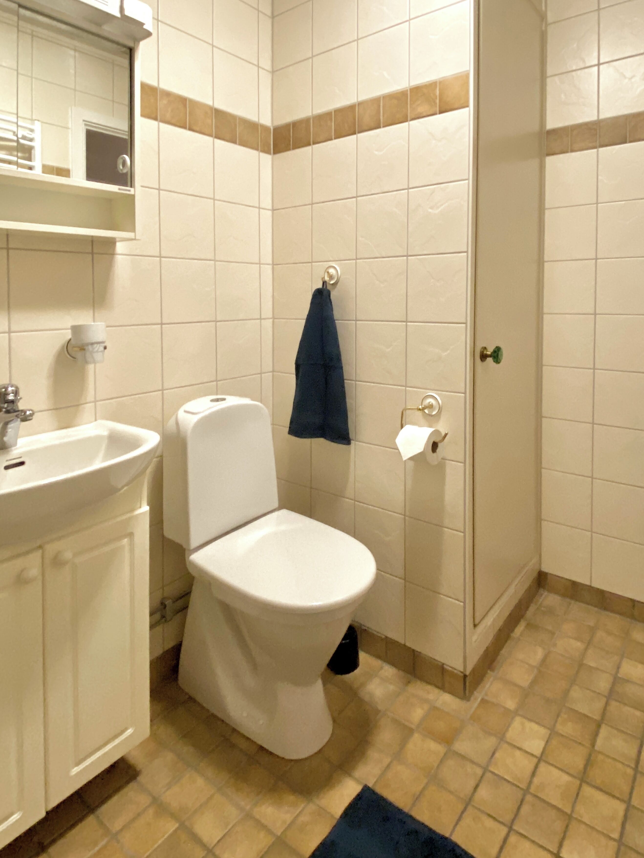 A bathroom with a toilet, sink, and towel rack.
