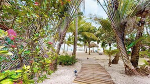 A wooden pathway leading to a beach area with palm trees and tropical plants. - Romantic beachfront home w ocean views, dock, hammock, veranda & free WiFi (Placencia)