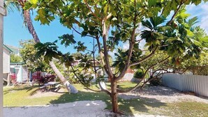 Un árbol en un patio con una casa al fondo.