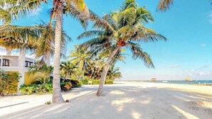Ein Strand mit Palmen, einem Sandweg und einem Gebäude mit gelber Fassade.