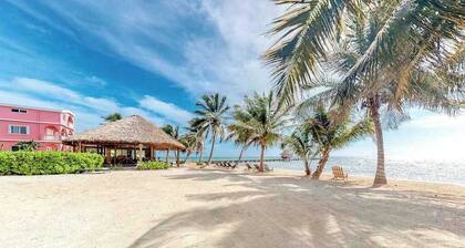 Oceanfront condo with a pool, ocean views, free WiFi & partial AC