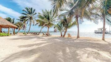 Playa en los alrededores