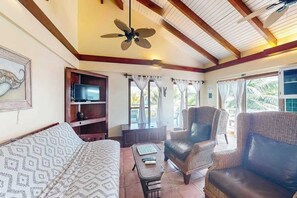 TV - Ocean view condo at beachfront complex with AC, free WiFi, & pool (Placencia)