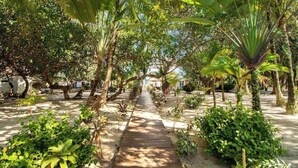 A pathway through a garden with various tropical plants and trees. - Oceanfront retreat with water view, pool, AC & free WiFi - easy beach access (Placencia)