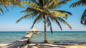 A beach with a wooden pier leading to a thatched-roof hut. - Oceanfront retreat with water view, pool, AC & free WiFi - easy beach access (Placencia)