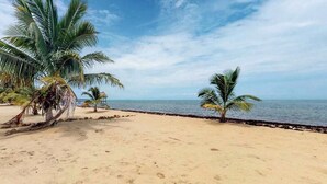 Una playa con palmeras y cielo despejado.