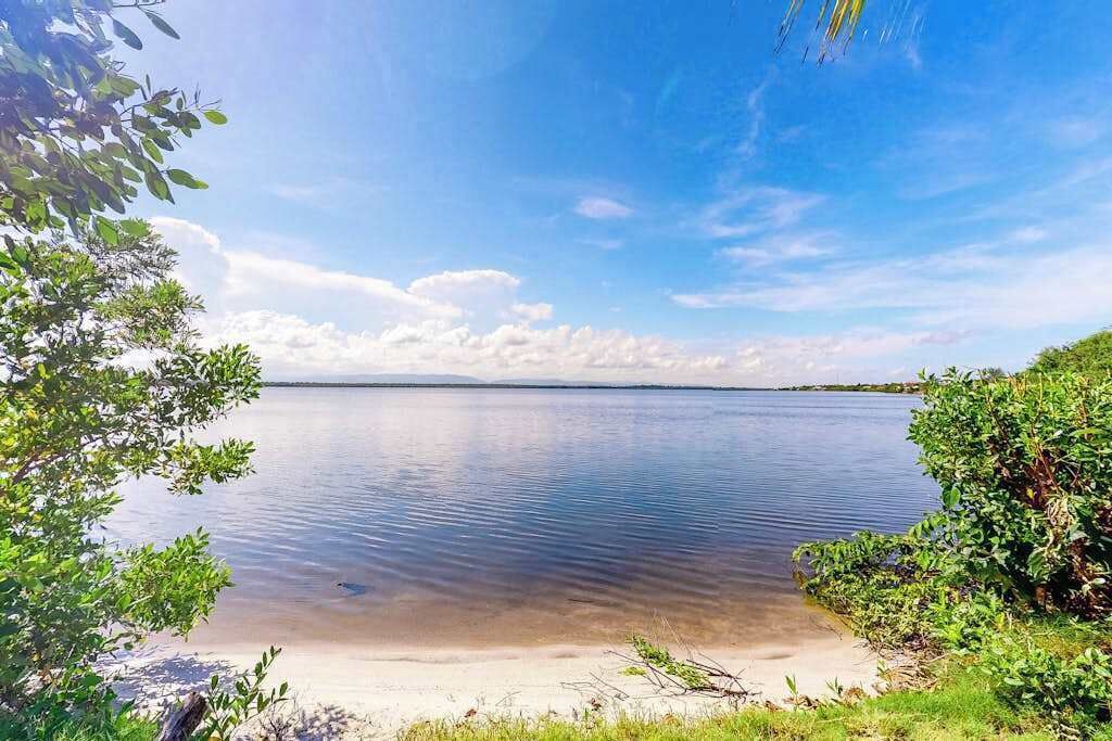 A calm lake with a clear sky, surrounded by greenery.