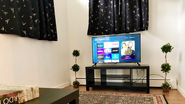A living room with a flat-screen TV, a coffee table, two potted plants, a patterned rug, and black curtains with a gold pattern. - Tiny Home Away From Home - Complete Privacy, Peace (Watertown)