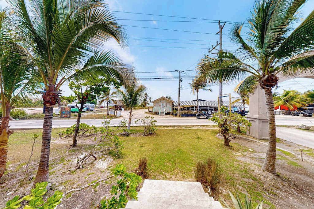 A residential area with palm trees, a house, and a road.