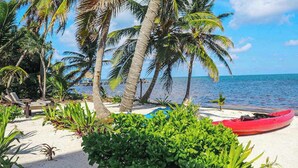 A beach with palm trees, a red kayak, and lounge chairs. - Relaxing condo with shared pool, ocean views, partial AC & WiFi (San Pedro)