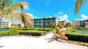 Un resort con alojamiento frente a la playa, piscina y palmeras.
