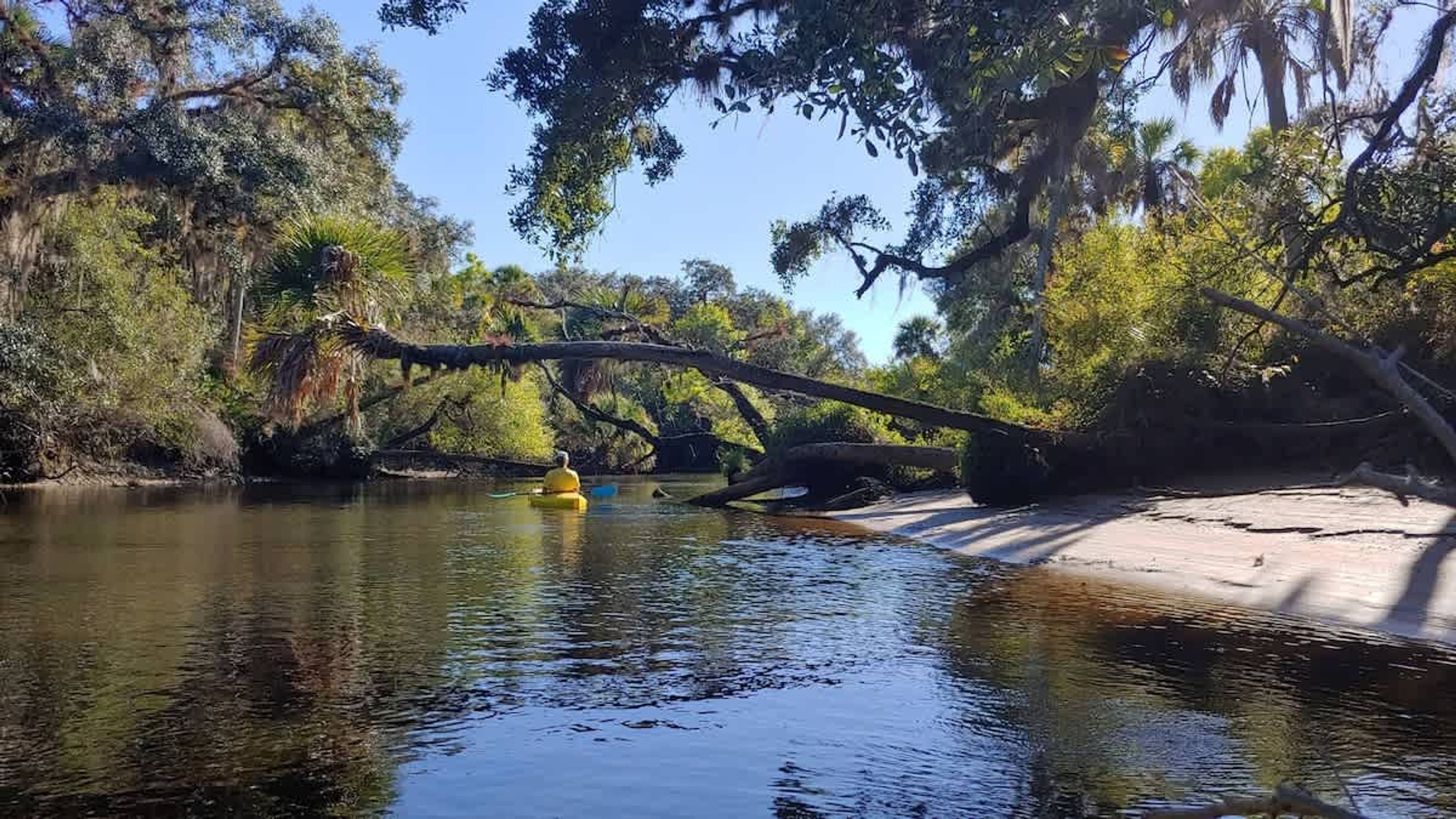 A calm river with a yellow kayak, surrounded by dense trees and a fallen tree branch.