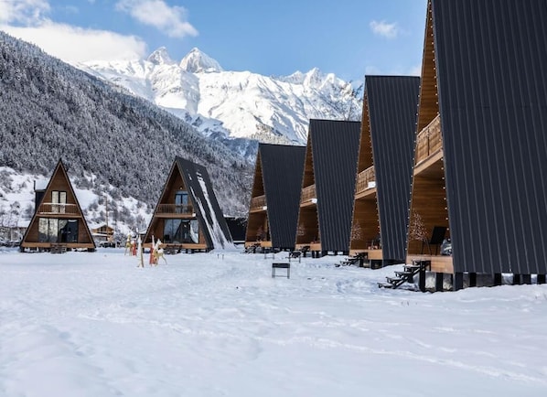 A row of wooden cabins with large windows, set against a snowy mountain backdrop.