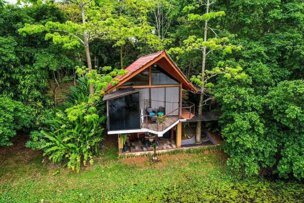 A treehouse with a glass enclosure, wooden deck, and outdoor seating area surrounded by dense forest.
