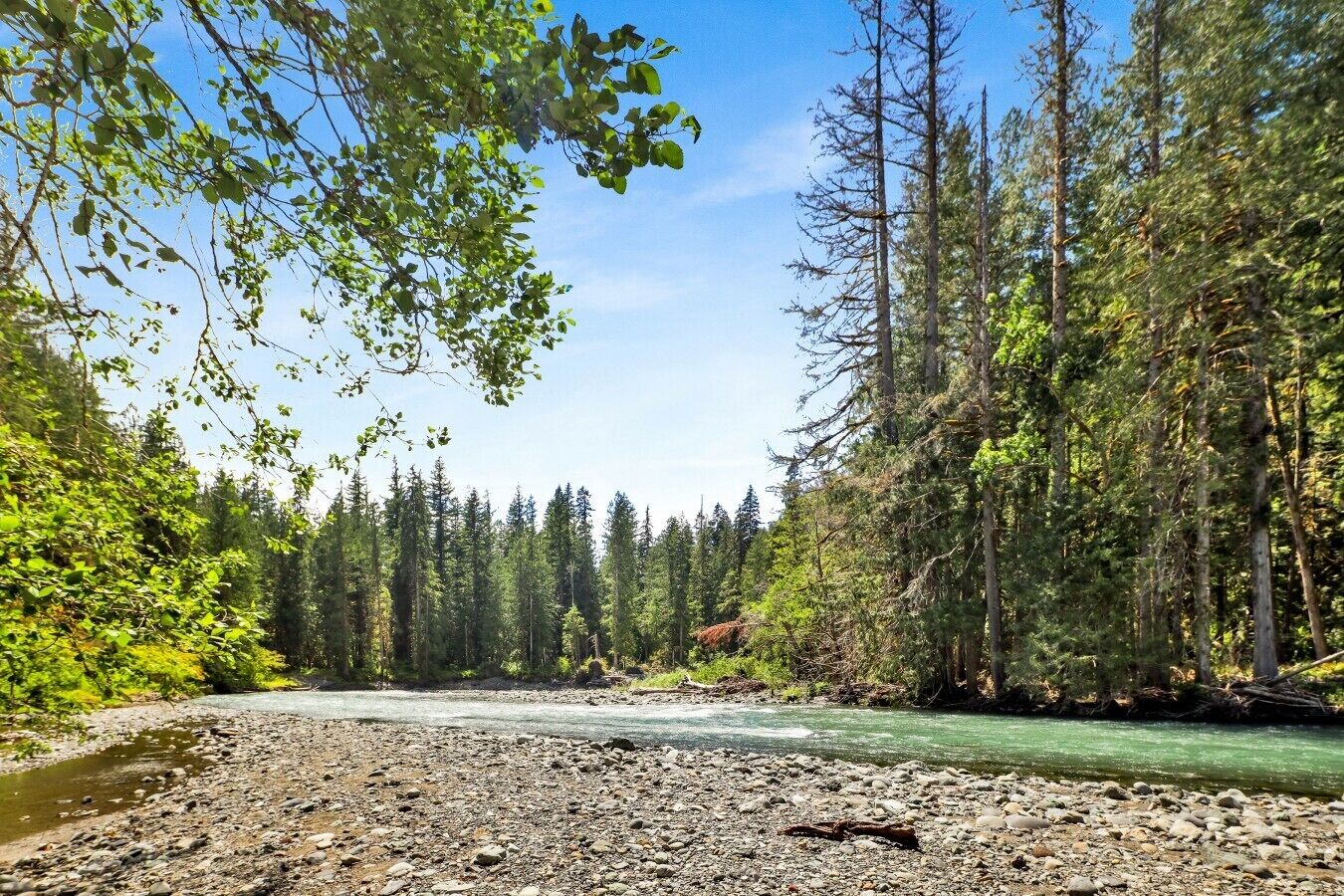Une rivière aux rives rocheuses, bordée d’une forêt dense et d’arbres imposants.