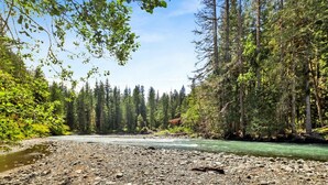 A river with a rocky shore, surrounded by dense forest and tall trees.