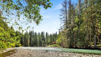 Une rivière aux rives rocheuses, bordée d’une forêt dense et d’arbres imposants.
