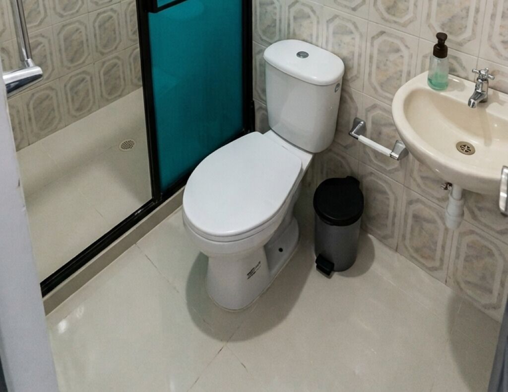 Regadera, secadora de cabello, toallas, papel de baño 
