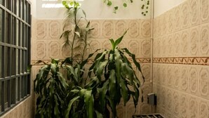 Un baño con baldosas estampadas, una planta en maceta y una celosía metálica.