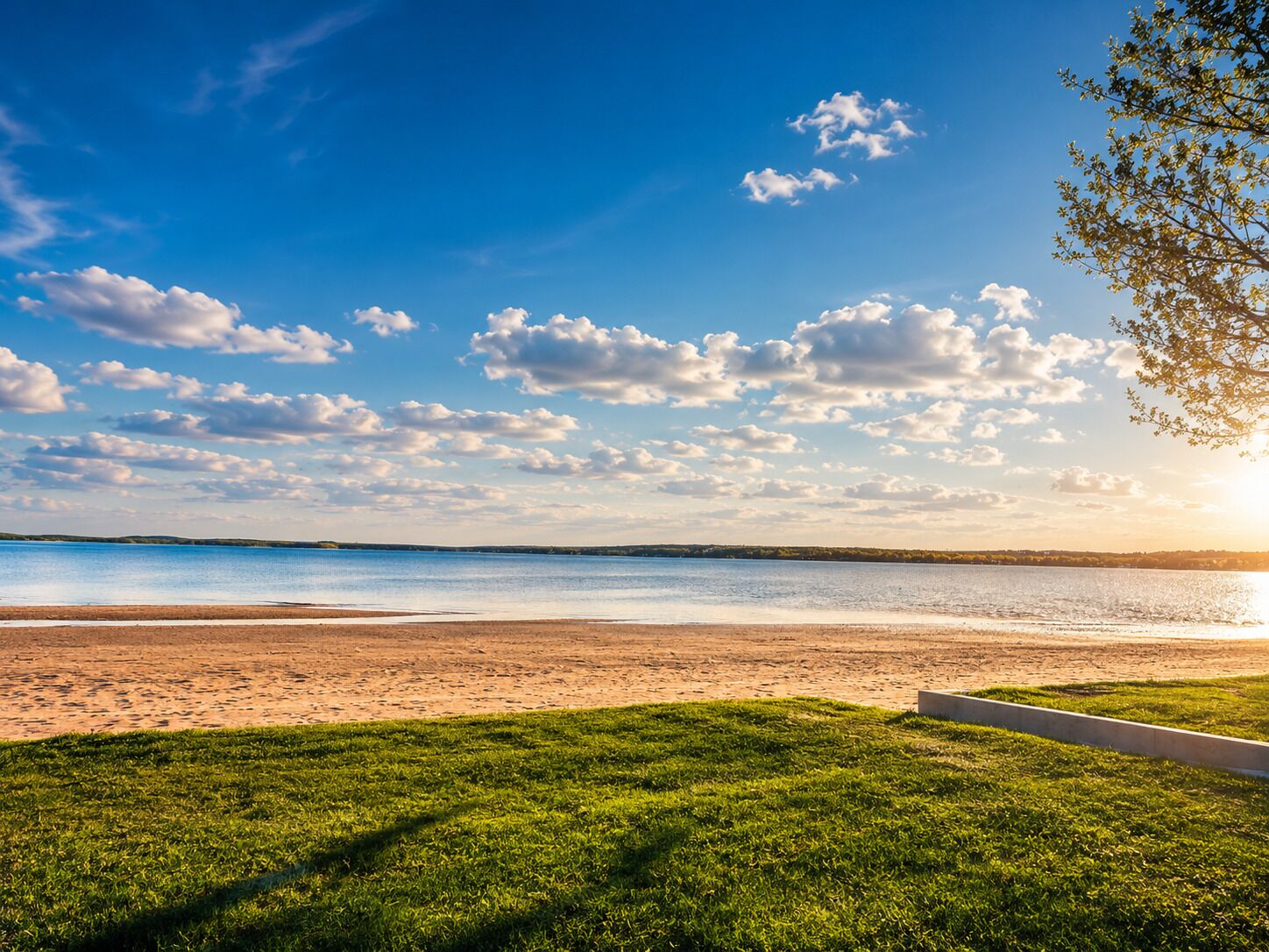 Une plage avec une étendue d’herbe au premier plan et un ciel dégagé.