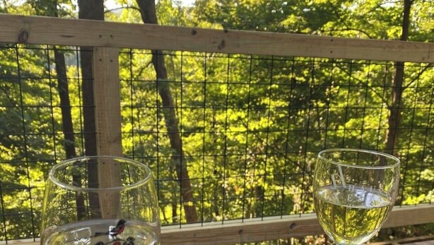 Two wine glasses on a wooden deck with a view of a forest. - Modern 4-bedroom cabin close to Liberty Mountain (Fairfield)
