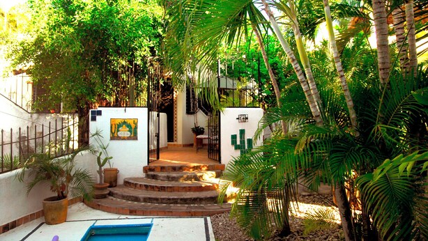 A courtyard with a staircase leading to a door, surrounded by lush greenery and a white wall with a mural. - 3 bdrm house with Private Pool & Steps from Manzanillo Beach (Puerto Escondido, Oaxaca, Mexico)