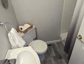 Secadora de cabello, toallas, jabón, papel de baño 