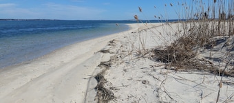 Enjoy a relaxing getaway to the North Fork -- Tranquil 1-bedroom apartment