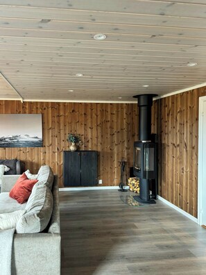 Fernseher, Kamin