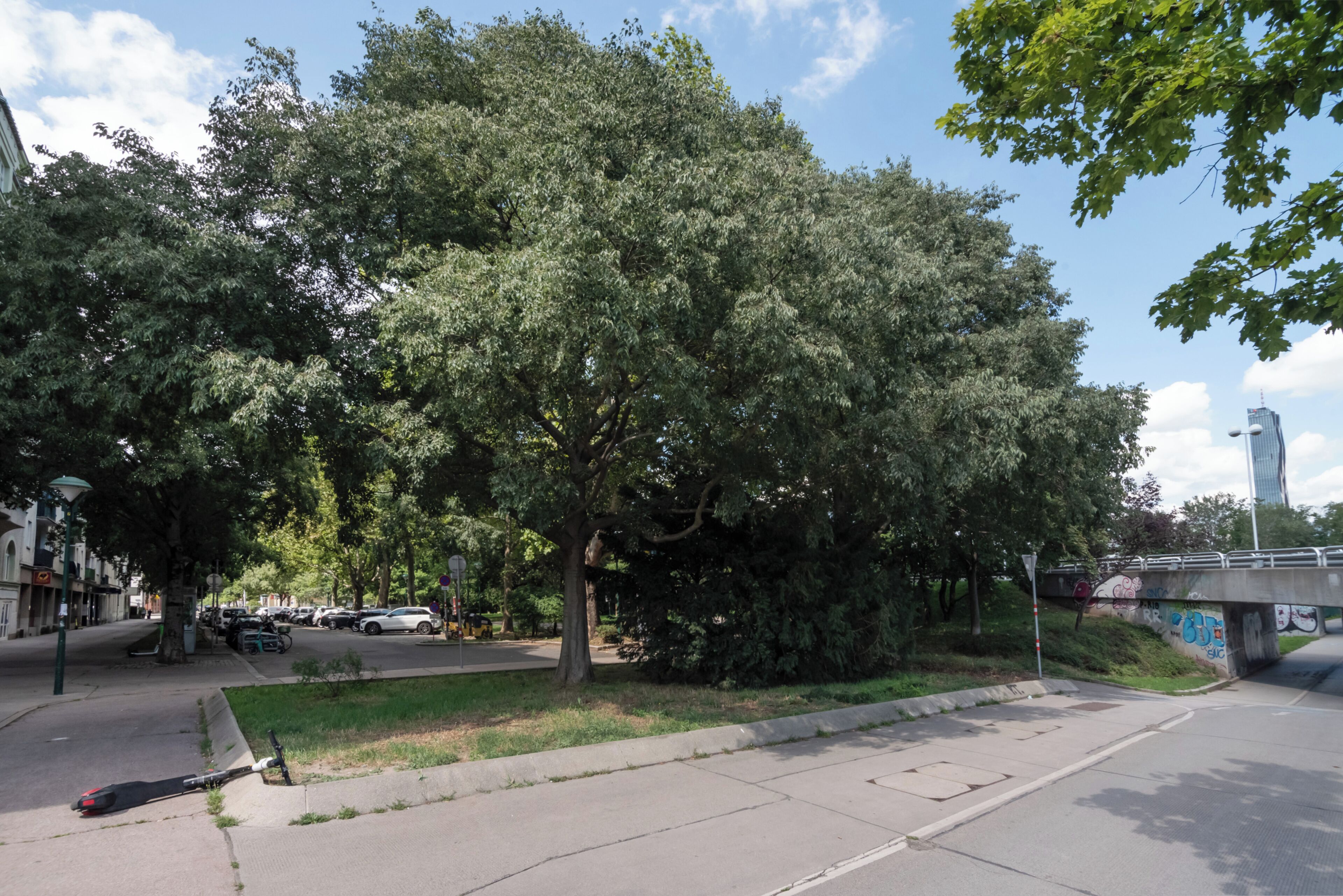 Une rue bordée d’arbres, un trottoir et un pont.