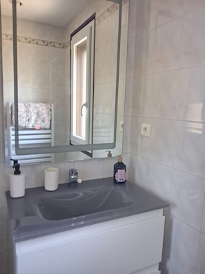 Regadera, secadora de cabello, papel de baño 