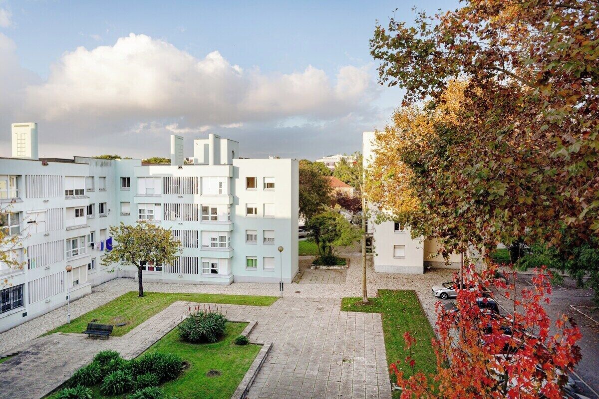 Une cour intérieure bordée de bâtiments modernes, un chemin pavé et un arbre aux feuilles d’automne.