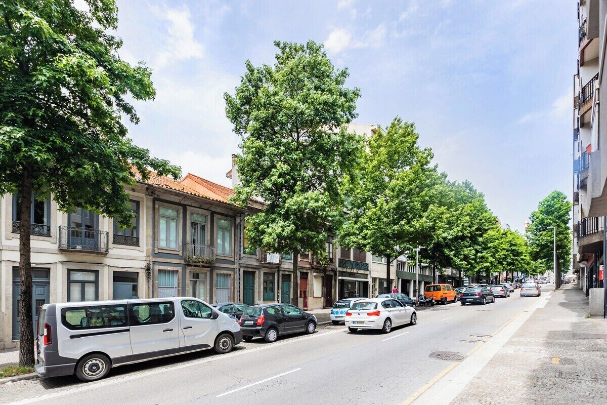 A street lined with parked cars and trees, with buildings on both sides.