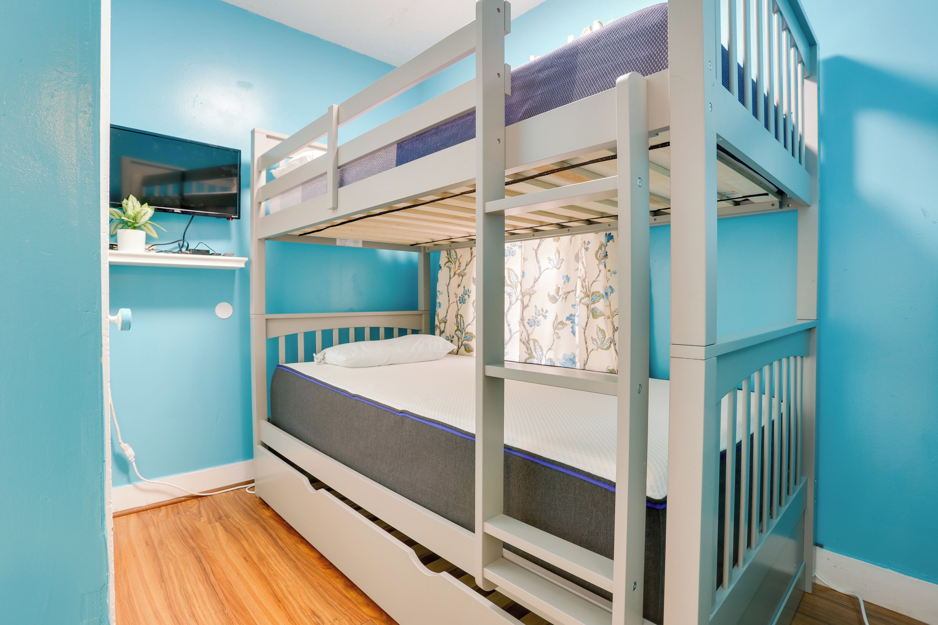 A bunk bed room with a TV on the wall, a plant, and a window.