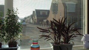 A room with a large window, potted plants, and a modern architectural design. - The Fisherman's Cottage (Egmond aan Zee)