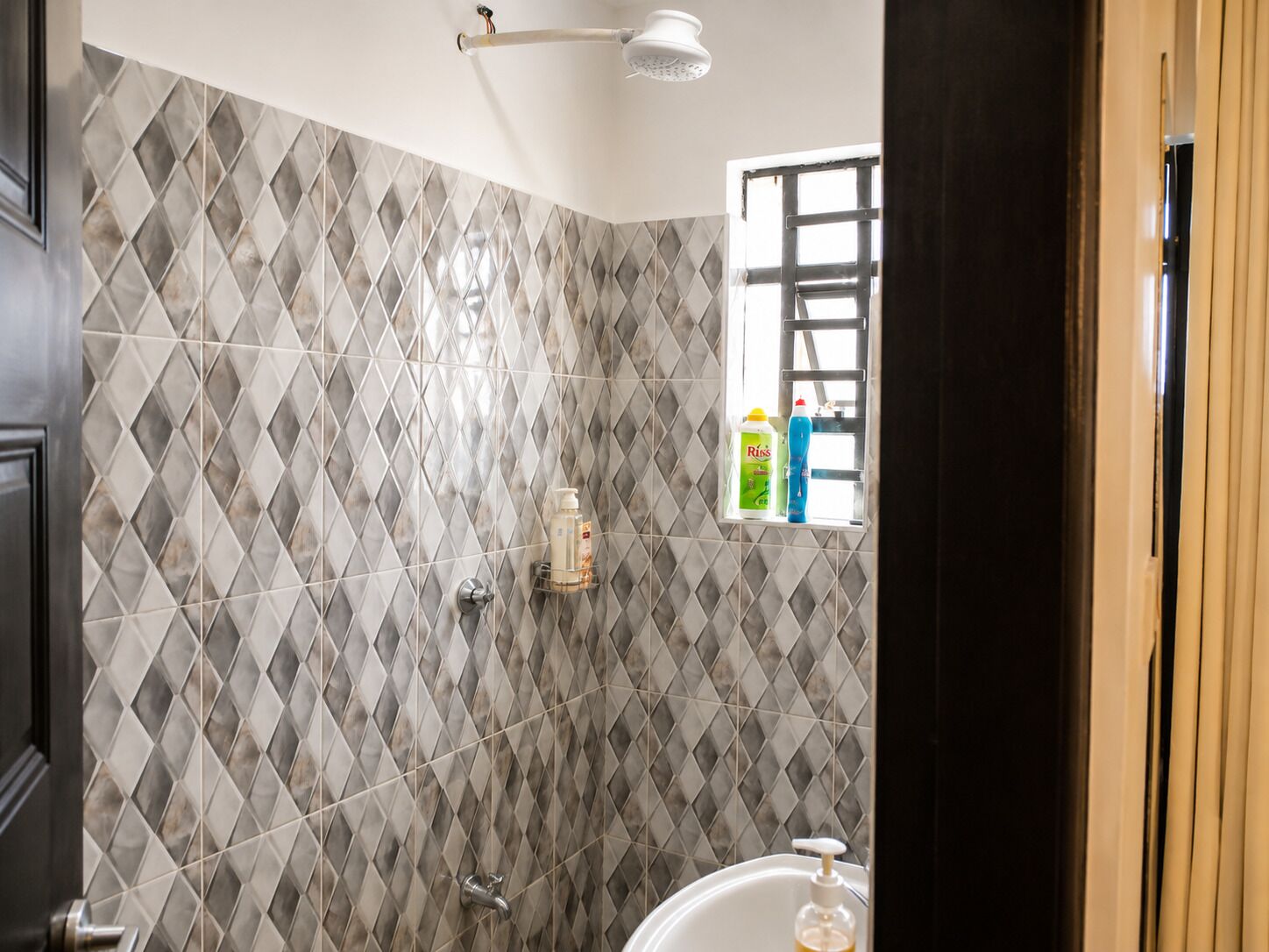 Shower, bidet, towels, soap