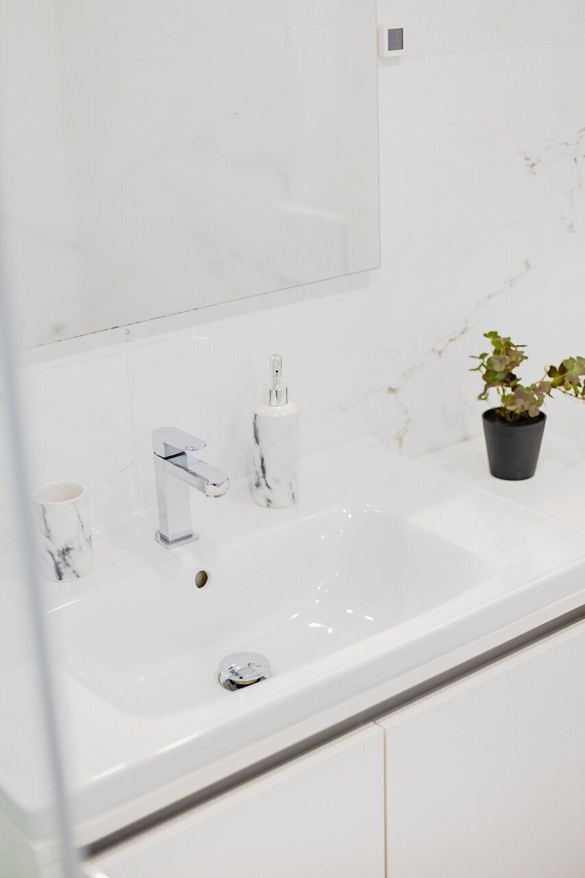 Une salle de bain avec un lavabo en marbre blanc, un robinet chromé et une petite plante en pot.